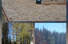 Peaceful Mountain Cabin with Private Lake and Game Room Near Long Barn, California - Foto 30