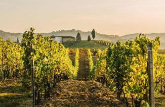 Cascina Longoria - Foto 27