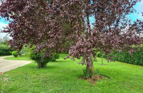 La coudraie votre maison de vacances en famille - Photo 8