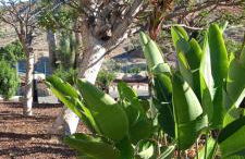 Duplex Anfi Topaz - Foto 50