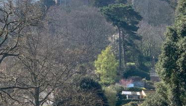 Woodville Barn - Photo 2