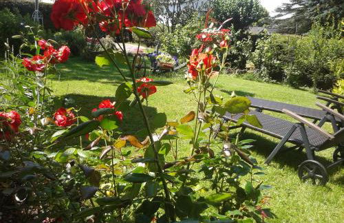 FeWo Sonnenblume mit sauna - Photo 20