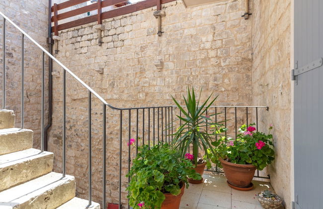 Vila Mama - Photo 28