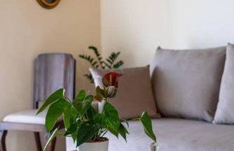 Manos Home - Photo 22