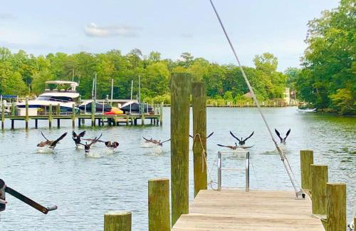 Waterfront Home With Boat Dock & Study - Photo 1