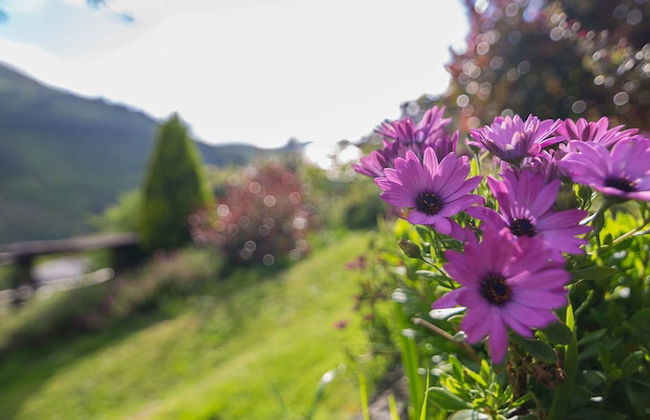 El Bosque de las Viñas - Foto 76