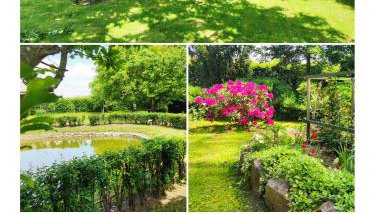 Agroturystyka Szerokopaś - Foto 2, Garden, Garden view