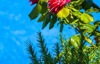 Vacation home TEA - Foto 10