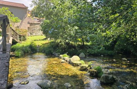 Campomuiños - Foto 2