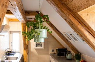 Nasze Calle - Foto 51