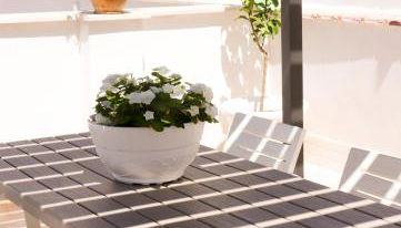 Palazzo Donnamaria - Foto 2