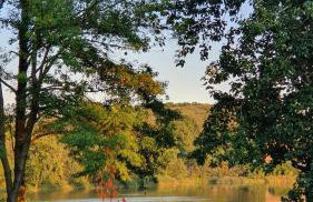 Nasz Dębowiec - dom dla 15 osób, sauna, widok na staw, wielka działka - Photo 55