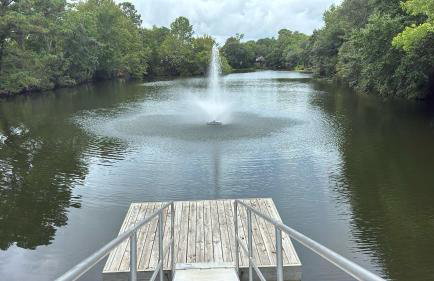 Sandpiper Cottage - 30 Day Rental - Foto 21