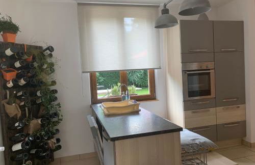 Les Hirondelles - Foto 21