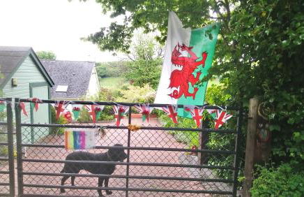 Laugharne Cottage Golwg Harddwch - Photo 21
