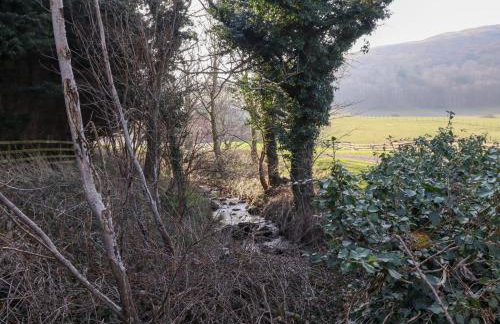 Pansy Plot - Photo 49