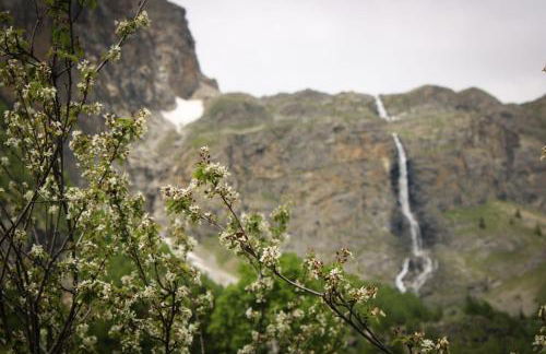 Pin e cele - Foto 16