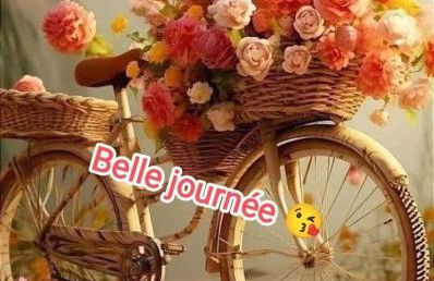 LES JARDINS DE MA-MANS Maison cosy centre Le Mans PARKING privé gratuit - Photo 54