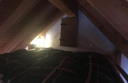 Steinbacher Itzbachhütte - Foto 11