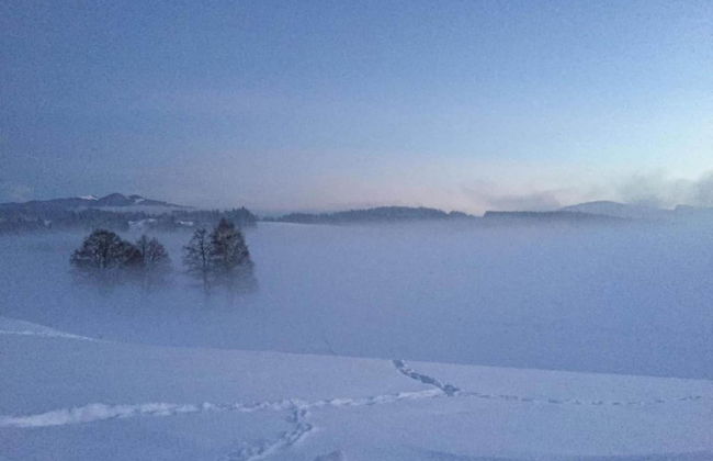 Country Charm, Bad Bayersoien - Foto 33