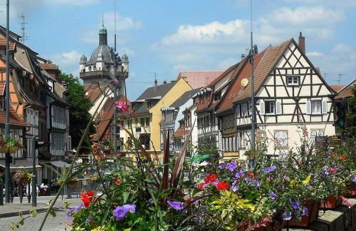 Gîte Le Marronnier, parking et terrasse au calme, entre Colmar-Riquewihr et Obernai, vue sur espaces verts et coteaux d Alsace, route du vin-châteaux - Foto 40