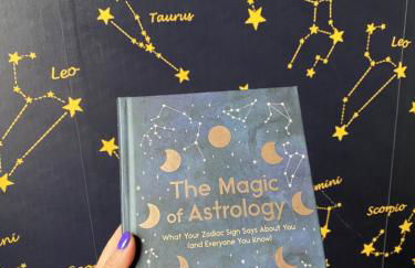 It’s Showtime-Book Lally’s House! Steps to Common! - Foto 10