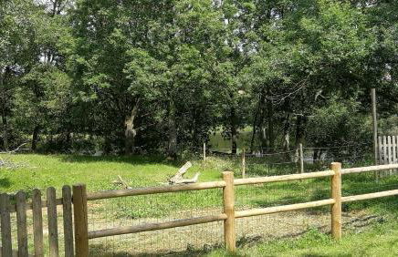 Les Crins au Bord du Lac - Foto 31