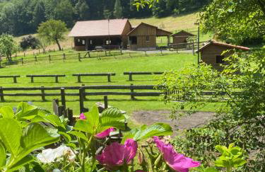 Ferienhaus Buren-Hof - Foto 42