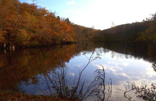 Grand gîte à Barrais-Bussolles avec cheminée et animaux acceptés - FR-1-489-21 - Foto 17
