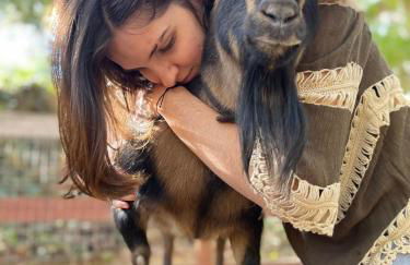 Vintage RV Creekside Nature Retreat near Ojai next to Swim Holes Hike - Foto 45