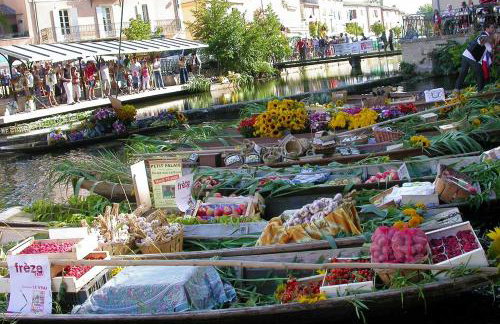 L'Isle-sur-la-Sorgue - Gîte de l'Olivier classé, climatisé, jardin, parking gratuit, centre-ville à 5 min à pied - Photo 21