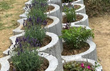 Forest paradise - Photo 9