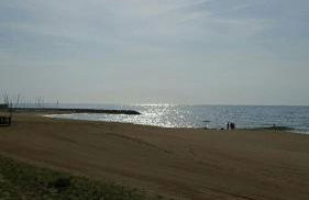 Oasis cerca de Barcelona - Photo 36