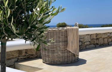 Seethrough Mykonos Suites - Foto 18