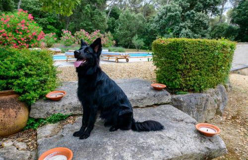 Le Clos de Bagalance - Photo 22