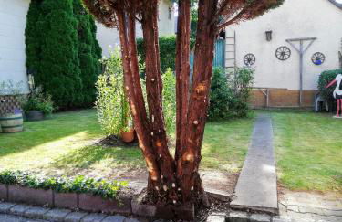 Ferienappartement Obrigheim - Foto 17