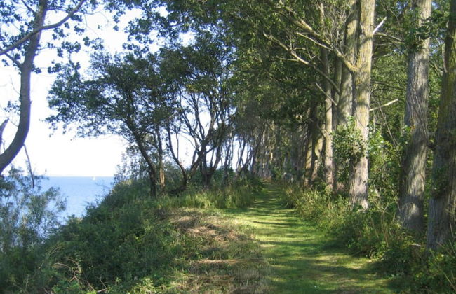 Unique Fjord Retreat - By Traum Ferienwohnungen - Foto 45