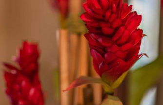 The Fairways - Foto 10