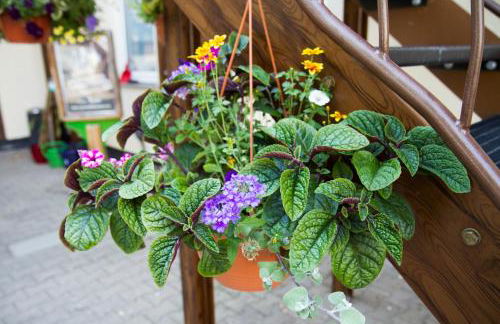 Apartment White der Sportschule Badura - Foto 10