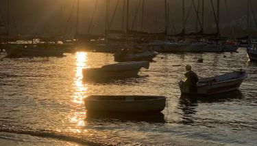 Casinha verde - Foto 4