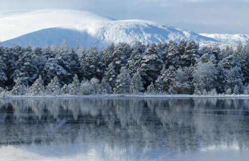 Caman House Apt 2 - by Where Stags Roar - Foto 8