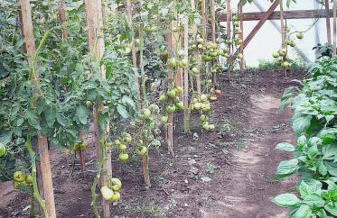 FORMA Apartament Supraśl - Foto 64