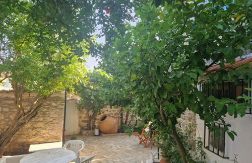 Lesvos Traditional Preserved House - Photo 27