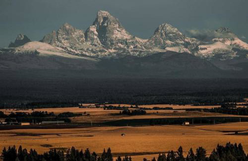 Dual Cabin- Yellowstone Family Retreat- Sled Hill - Foto 44