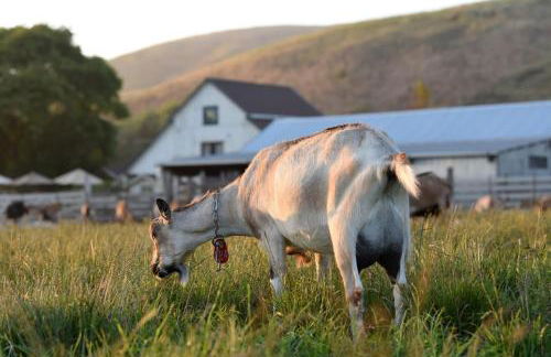 Experience the Pinnacle of Coastal Living at Harbour House - Foto 67