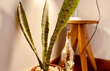 Claruá Chalés- Loft Baru 100m2-Privativo com Vista- 3 min de carro do Rio - Foto 46