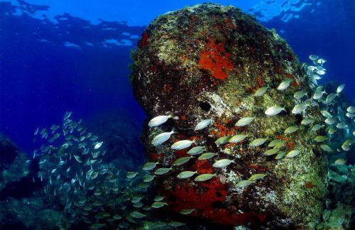 Le Tre Ninfe - Centro storico Riposto - Foto 41