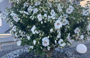 Heidis Ferienoase - Foto 19