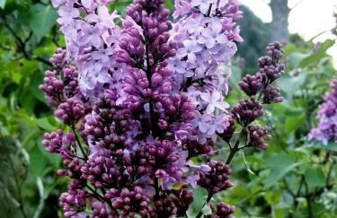 Charming Cottage Rental with Fabulous Views of the Trinity River in Northern California - Foto 21