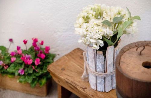 Belcantone - Foto 13